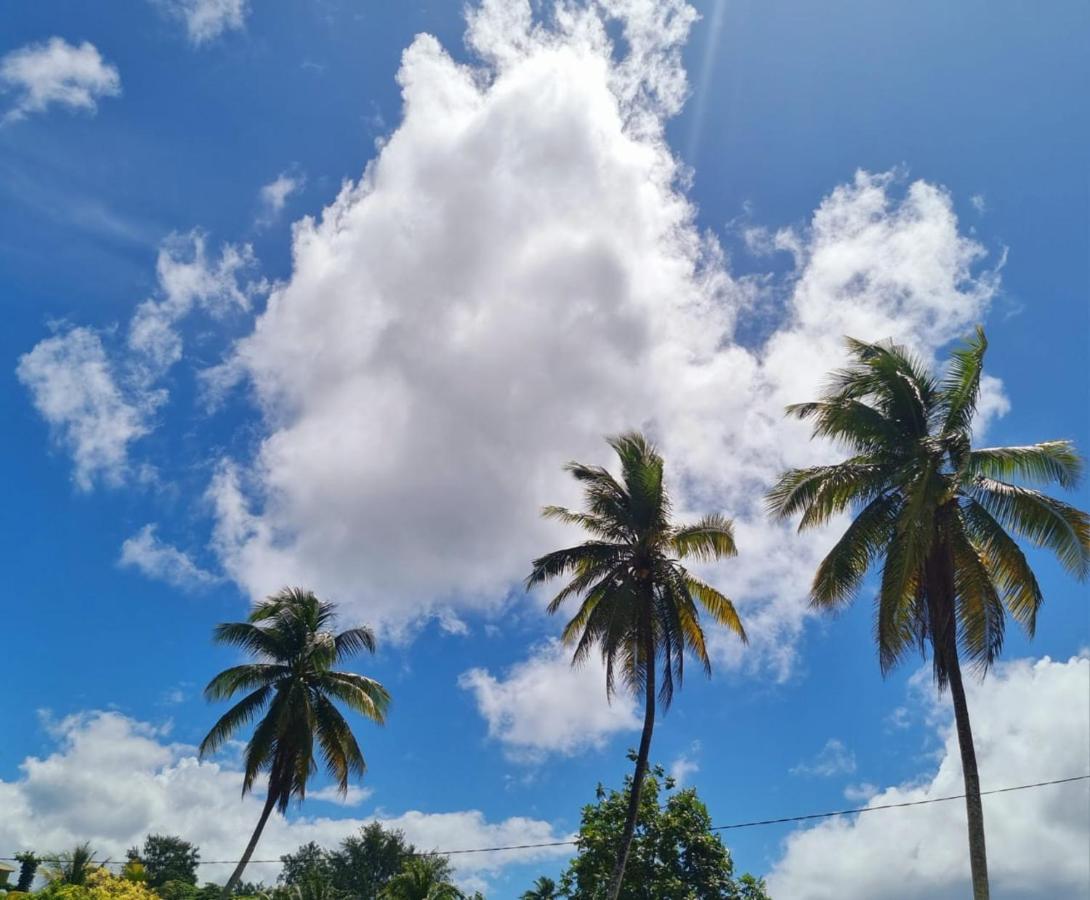 Le Nid De Bea Self-Catering Apartments La Digue Luaran gambar